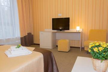 Фото номера  Двухместный номер Комфорт с 1 кроватью Гостиница Topaz Hotel г. Каменск-Уральский 3